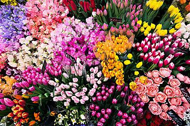 大改版！《暗黑破坏神4》S11 PTR 10月22日开始